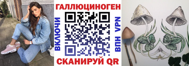Купить  Долинск  Галлюциногенные грибы мухоморы 